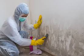 Best Residential Mold Inspection & Testing  in Olmos Park, TX